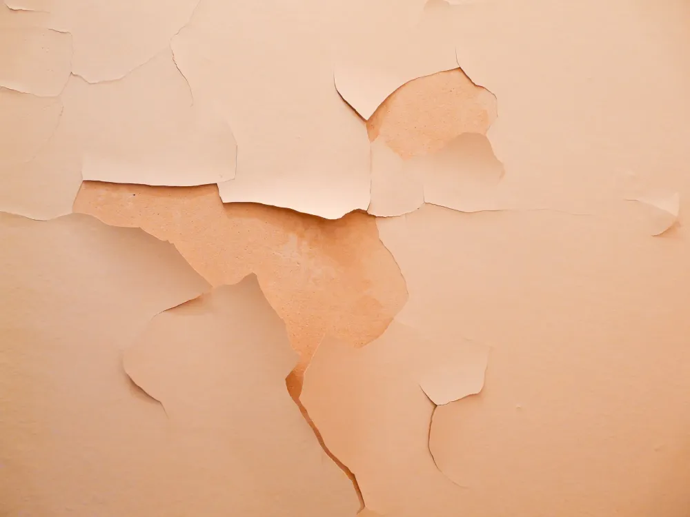 pose de papier peint près de Sauveterre-de-Béarn