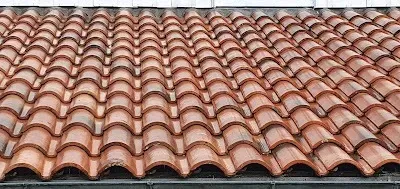 démoussage de toiture près de Sauveterre-de-Béarn